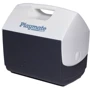 Изотермический контейнер Igloo Playmate Elite 15 л (0342233248584) фото 9