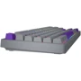 Клавиатура Hator Rockfall 2 Autograph Edition Mecha TKL Aurum Choco USB Titanium (HTK-526): Количество клавиш 87