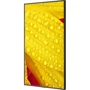 Монитор NEC MultiSync ME501 (60005053): Разрешение Ultra HD 4K (3840x2160)