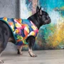 Жилет Pet Fashion "SPRING" принт XS-2 (4823082420537): Обхват груди 32-38 см