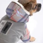 Костюм для собак Pet Fashion FUN ХS2 серый: Размер животного Маленькие