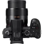 Panasonic Lumix DMC-FZ1000 II (DC-FZ10002EE) UA фото 8