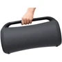 Акустика Sony SRS-XG500B Black (SRSXG500B.RU4): Тип настольная