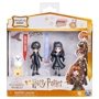 Игровой набор WIZARDING WORLD: Мир волшебников (Гарри, Джоу, Букля) (SM22005/7633): Серия Harry Potter
