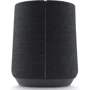 Акустика Harman/Kardon Citation 300 Black (HKCITATION300BLKEU): Цвет черный