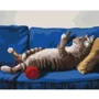 Картина по номерам Brushme Ленивое воскресенье ©Lucia Heffernan 40х50 см (BS53481)