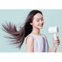 Фен Xiaomi Mi Ionic Hair Dryer H300 E: Количество скоростей 2