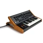 Синтезатор аналоговый LPS-SUB-007-06 MOOG SUBSEQUENT 25: Количество клавиш 25