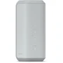 Акустика Sony SRS-XE300 Light Gray (SRSXE300H.RU2): Тип портативная