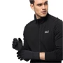 Перчатки Jack Wolfskin Allrounder Glove L черные (1910791_6000): Пол Унисекс