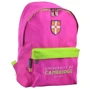 Рюкзак молодежный YES SP-15 Cambridge pink (555036)