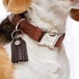 Нашийник круглий Hunter Cody Alu-Strong ХL 25 мм 45-65 см коричневий (4016739652850): Колір коричневый