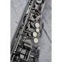 Альт саксофон J.MICHAEL AL-980GML (S) Alto Saxophone: Производитель J.MICHAEL