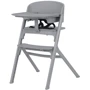 Стульчик для кормления Carrello Sidney 3 in 1 Stone Grey + 4 уровня регулировки высоты (CRL-8405/1 Stone Grey): Тип трансформер