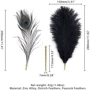 Набор перышек для ласк LOCKINK Sevanda Natural Peacock Flirting Feather Tickler