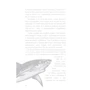 Катя Брандіс: Діти моря. Книга 1. Небезпечна подоба: Кількість сторінок 320