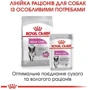 Сухой корм Royal Canin Mini Relax Care Adult для собак малых пород, чувствительных к изменениям среды 1кг (1224010): Порода Малые