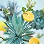 Аромат для диффузора Maison Berger Paris Agave Garden 200 мл (6862) фото 1