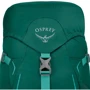 Рюкзак Osprey Hikelite 32 Aloe Green - O/S (009.1912): Производитель Osprey