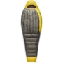 Спальный мешок Sea to Summit Spark -1C/30F Regular Beluga Black (STS ASL041072-050103)
