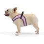 Шлея HiDog Comfort Flowers pink 28-34 см XXS розовая (135\1020) фото 5