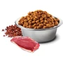 Сухой корм Farmina N&D Quinoa Duck, Brocooli & Asparagus Neutered для взрослых стерилизованных собак средних и крупных пород утка, киноа, брокколи и спаржа 2.5 кг 40169 (X/04/192): Тип Сухой корм