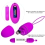 Виброяйцо Pretty Love Selkie Purple (BI-014865W)