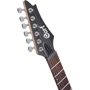 Электрогитара CORT X100 (Open Pore Black Cherry): Форма корпуса Stratocaster