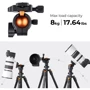 K&F Concept K234A0+BH28L (KF09.101V1): Максимальная высота 160 см