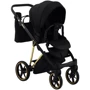Коляска 2 в 1 Adamex Belissa Special Edidion (Gold) PS-569 чорний - чорна шкіра (перфорація): Ширина шасі 58