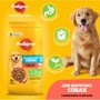 Сухой корм Pedigree для взрослых собак с говядиной и овощами 12кг (5998749145043): Возраст Взрослые