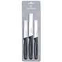 Набор кухонных ножей Victorinox Standard Paring Set 3 пр. (5.1113.3)