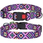 Нашийник HiDog Aztec XS 10 мм 18-28 см різнокольоровий (101\1003): Виробник HiDog