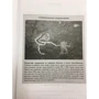 Кэтрин Шэнахан: Умный ген. Какая еда нужна нашей ДНК фото 8