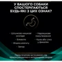 Вологий корм для собак Purina Pro Plan Veterinary Diets EN - Gastrointestinal Canine при захворюваннях шлунково-кишкового тракту 3x195 г (7613287858047): Клас Супер премиум