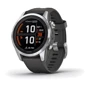 Смарт-часы Garmin Fenix 7S Pro Solar Silver with Graphite Band (010-02776-01)