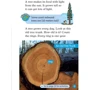Oxford Read and Discover 1: Trees: ISBN 9780194646369, 978-0-19-464636-9