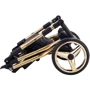 Универсальная коляска 2 в 1 Adamex Sierra Polar (Gold) SR436 черный (люрекс) - золотой кожа (перфорация): Количество блоков 1