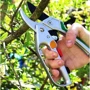 Секатор Gruntek Kondor 200мм (2 в 1): Материал углеродистая сталь SK5