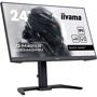 Монитор iiyama GB2445HSU-B2: Покрытие экрана матовое