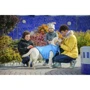 Курточка двусторонняя AiryVest для средних собак, размер M 47, черно-голубая (4823089304625): Обхват груди 69-72 см