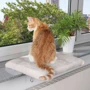 Лежак Trixie CosyPlace для котів на підвіконня 51х36 см світло-сірий (4011905043289) фото 1