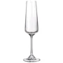 Бокал Bohemia Corvus для шампанского 6шт 160мл (1SC69/00000/160)