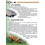 Тетяна Станкевич: Рослини та тварини України: ISBN 978-617-695-062-2