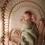 Пустышка Frigg Daisy Pale Daffodil size 1 (0-6 m) желтый (000539): Возраст до 6 месяцев