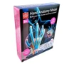 Модель руки Edu-Toys сборная, 16,5 см (SK058): Производитель EDU-Toys