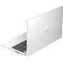Ноутбук HP ProBook 460 G11 (9Y7B4ET) UA: Тип экрана матовый