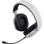 Наушники Trust GXT 498 FORTA for PS5 White (24716): Диапазон частот (Гц) 20-20000
