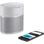 Акустика Bose Home Speaker 300, Luxe Silver (808429-2300): Звуковая система 1.0