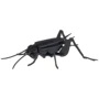 Сверчек Cricket Fridolin 3D модель